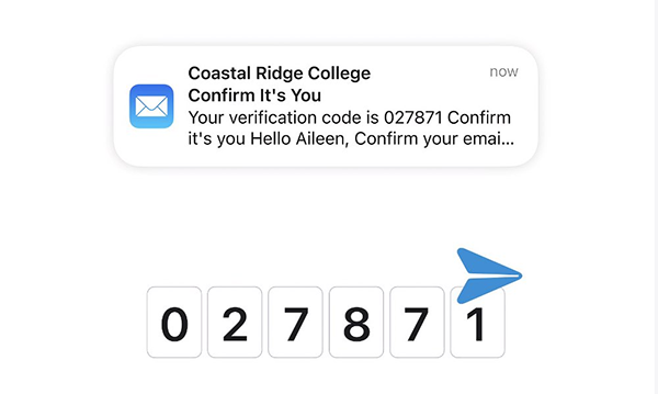 Mã xác nhận được điền tự động khi bạn truy cập Mail trên Safari 
